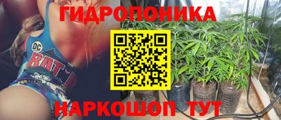 гидропоника Кунгур
