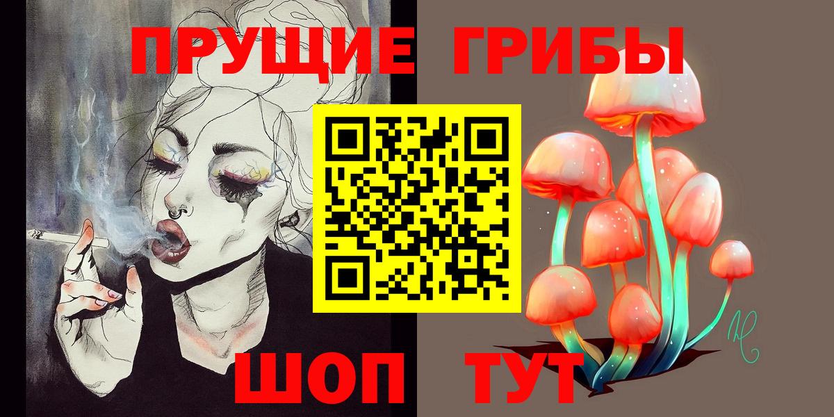 Псилоцибиновые грибы мицелий Донецк